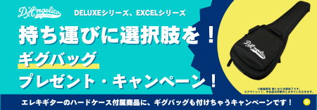 ギグバッグ・プレゼント