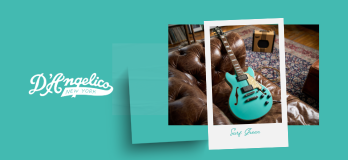 surf green