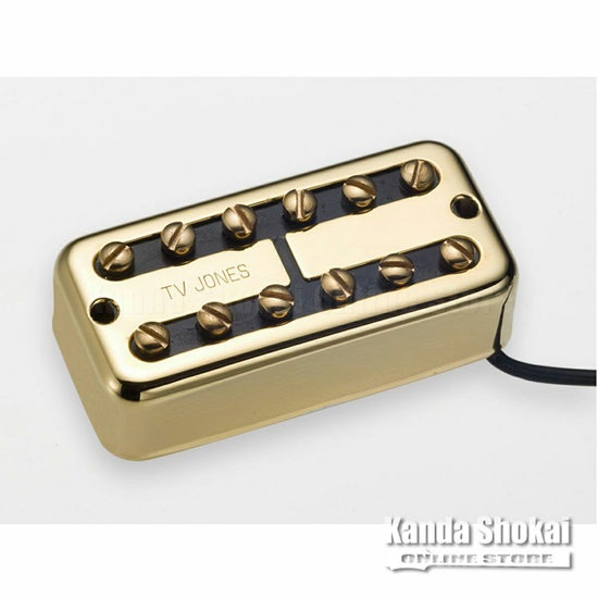 TV Jones TV Classic Universal Mount Neck, Goldの商品画像1