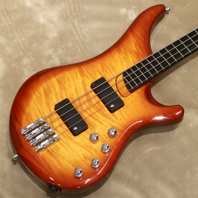 Vigier Arpege 4 strings V4ECC, Amberの商品画像1