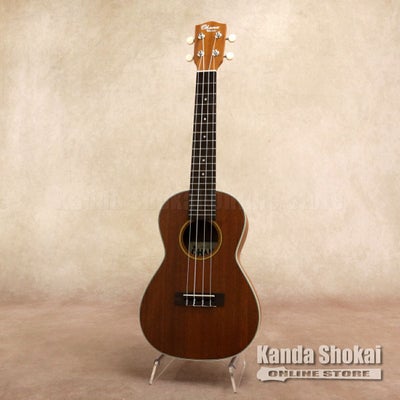 Ibanez ( アイバニーズ )EWP14WB-OPN, Open Pore Natural | ギターの 