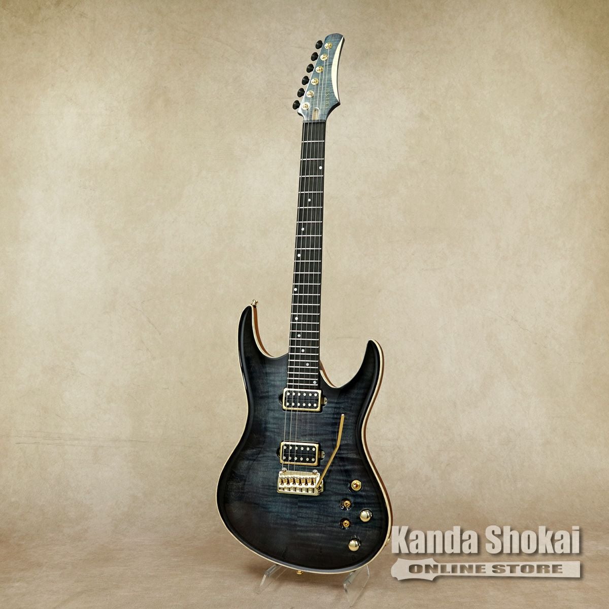 Vigier ( ヴィジェ ) Excalibur Special, VE6-CVSP1, Rosewood