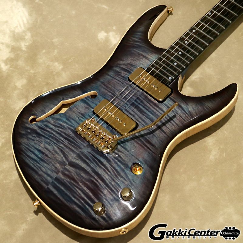 Vigier ( ヴィジェ ) Excalibur Special, VE6-CVSP1, Rosewood