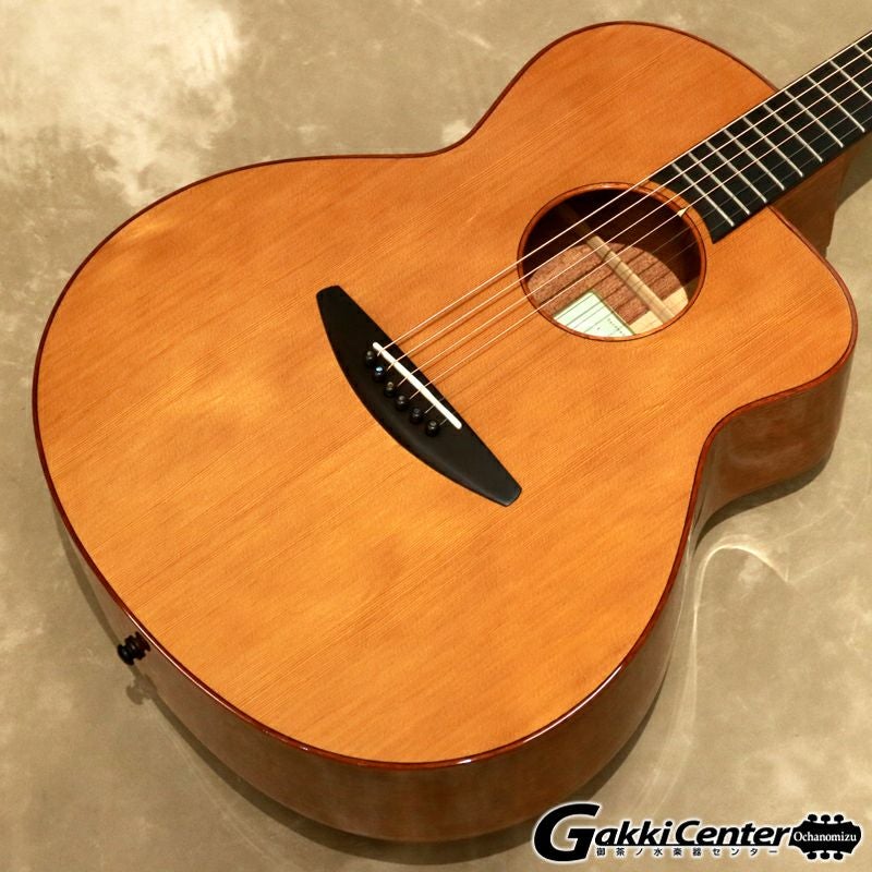 baden ギター　A style ベーデン　ハードケース付 Baden ( ベーデン ) A-style CZ, N.V.S Specification [S/N