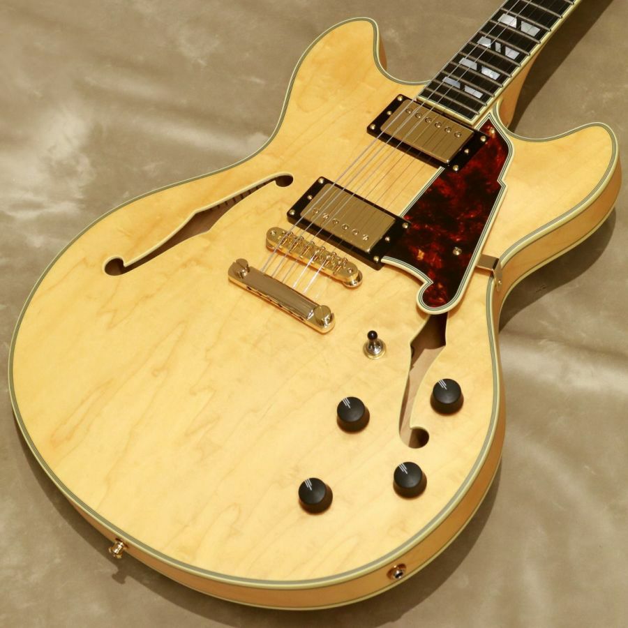 D'Angelico ( ディアンジェリコ ) Excel DC, Black Dog | ギターの通販